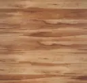 Amur Maple Monticello