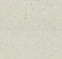 Royal Ivory Polished