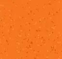 Citrus
