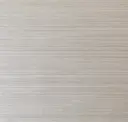 Bone