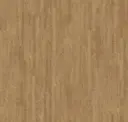 Biscuit