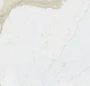 White Calacatta