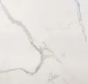 Bianco Venato