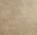Manta