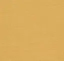 Amped Yellow