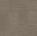 Horn Silver