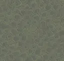 Succulent