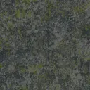 Environment