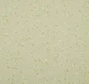 Honest Beige