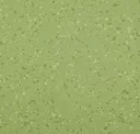 Herb