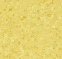 Canari