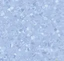 Aqua