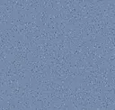 Blue Tansy