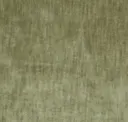 Swamp