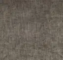 Chinchilla