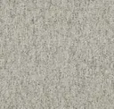 Fossil