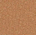 Spice