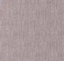 Chinchilla