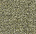 Hedge