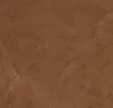 Terra