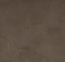 Tiglio