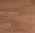 Main