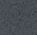 Coal