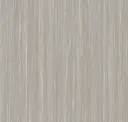 Sycamore