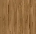 Gingered Beech