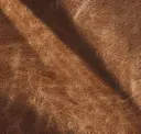 Crème Brulee