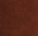 Terra