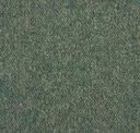 Pine