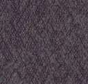 Spiceberry