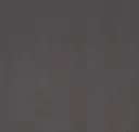 Iron