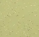 Pistachio