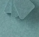 Succulent