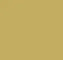 Amber Yellow