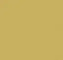 Amber Yellow