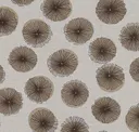 Pumice