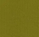 Gecko