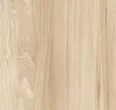Silveretta