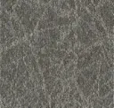 Sediment