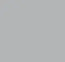 Winter Gray