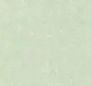 Seafoam Green