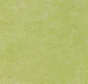 Moss Green