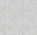 White/gray