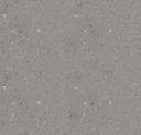 Warm Gray