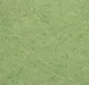 Frog Green