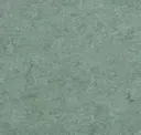 Grey Turquoise