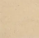 Marble Beige
